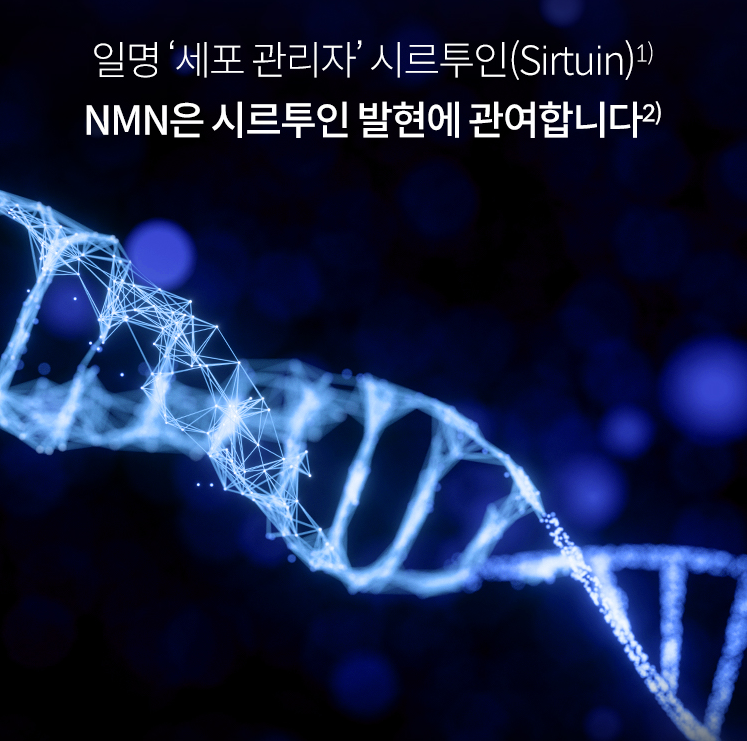 NMN 영양제 추천 & 효능 총정리! 복용법까지 한눈에 확인하세요 14